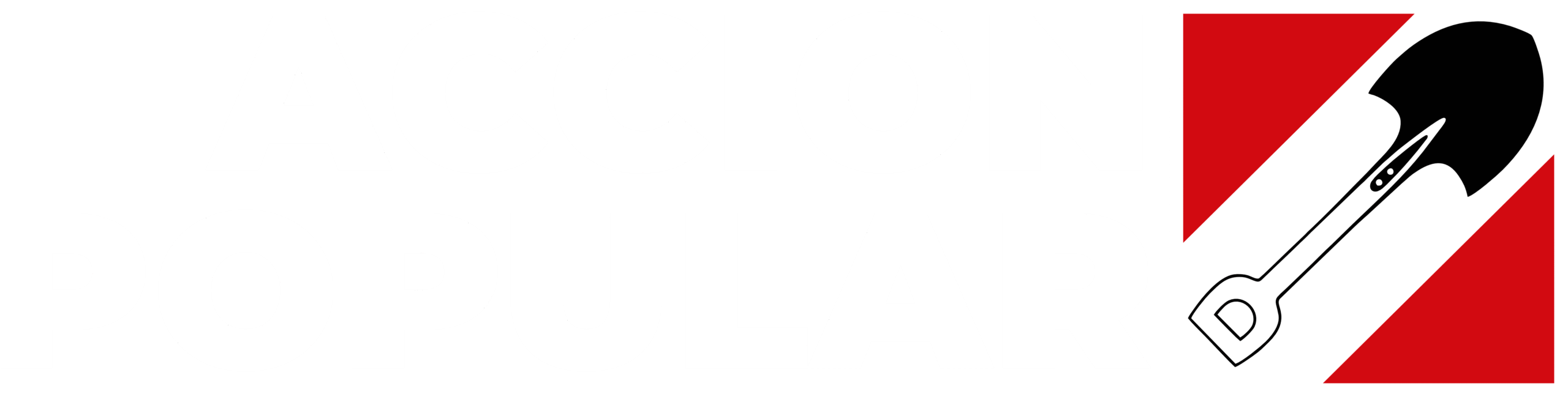 Logo Accion Pupular