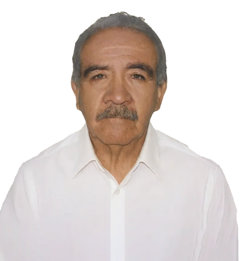 Vicesecretario General Nacional de Organización